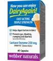 Лактаза Ензим 250 mg x 60 капсули Webber Naturals