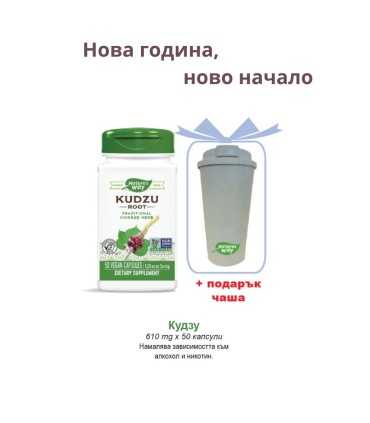 кудзу_корен_с_чаша