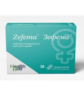 зефема_цена