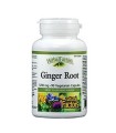 Джинджифил корен 1200 мг Х 90 V капс. NATURAL FACTORS