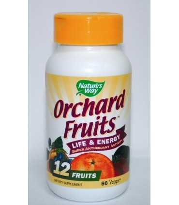 ПЛОДОВ АНТИОКСИДАНТ 450 МГ Х 60 КАПС. НЕЙЧЪРС УЕЙ / ORCHARD FRUITS NATURE'S WAY / цена, информация