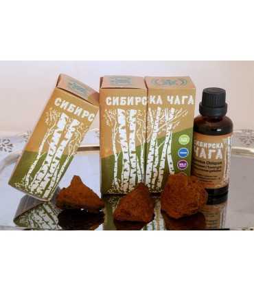 Сибирска Чага тинктура х 50 мл / Sibirska Chaga x 50 ml, цена | Arteka.bg