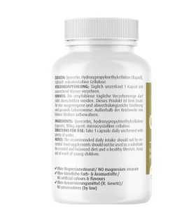 zein_pharma_quercetin
