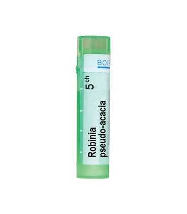 ROBINIA PSEUDO ACACIA 5 CH / ROBINIA PSEUDO ACACIA 5 CH / цена, информация