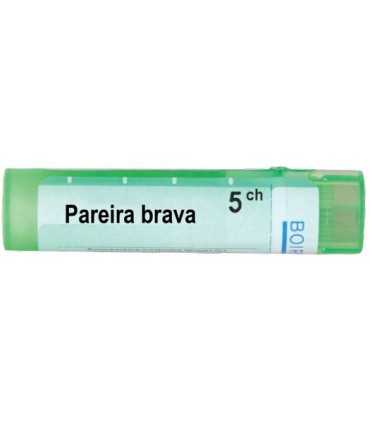 парейра_брава_5_цх