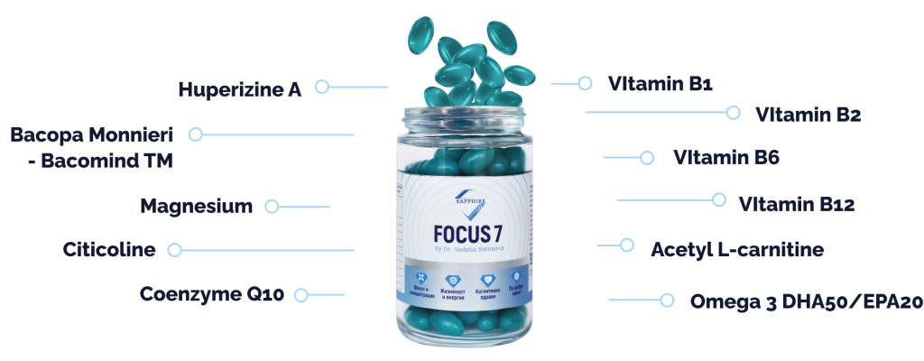 focus-7-sustav